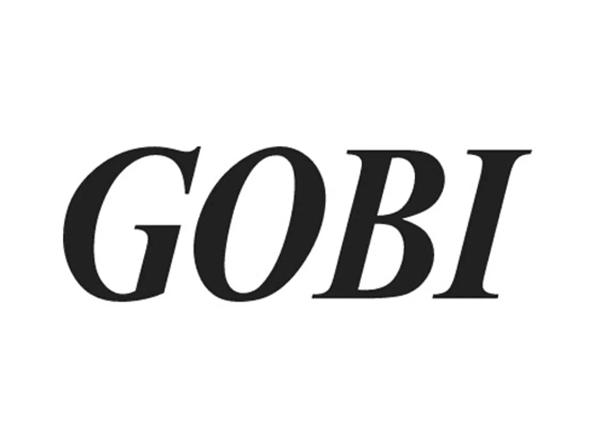 Gobi DE